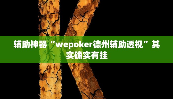 辅助神器“wepoker德州辅助透视”其实确实有挂