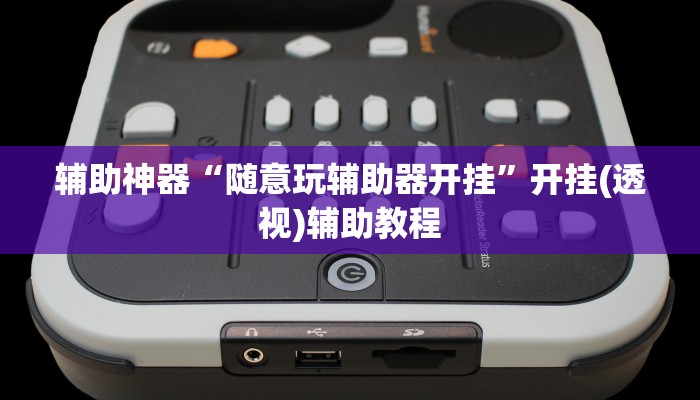 辅助神器“随意玩辅助器开挂”开挂(透视)辅助教程