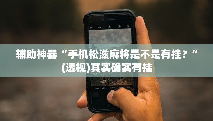 辅助神器“手机松滋麻将是不是有挂？”(透视)其实确实有挂