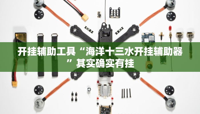 开挂辅助工具“海洋十三水开挂辅助器”其实确实有挂