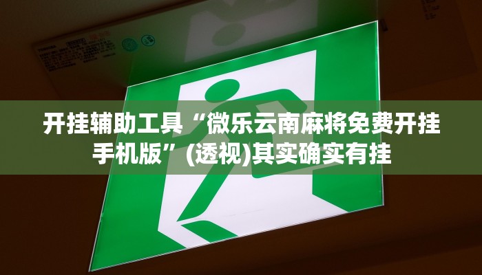 开挂辅助工具“微乐云南麻将免费开挂手机版”(透视)其实确实有挂