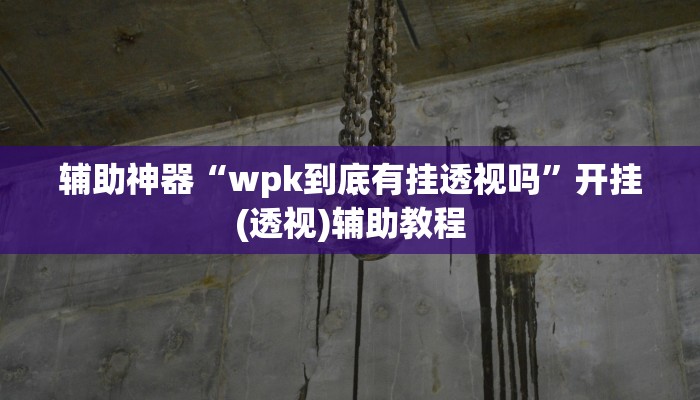 辅助神器“wpk到底有挂透视吗”开挂(透视)辅助教程