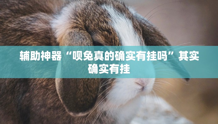 辅助神器“呗兔真的确实有挂吗”其实确实有挂