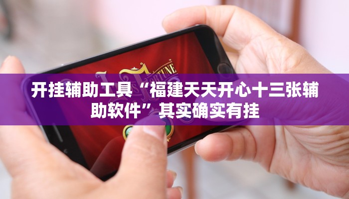 开挂辅助工具“福建天天开心十三张辅助软件”其实确实有挂
