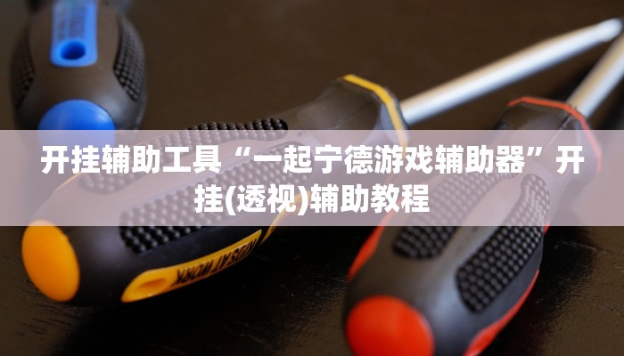 开挂辅助工具“一起宁德游戏辅助器”开挂(透视)辅助教程