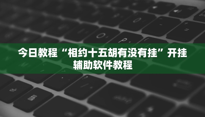 今日教程“相约十五胡有没有挂”开挂辅助软件教程