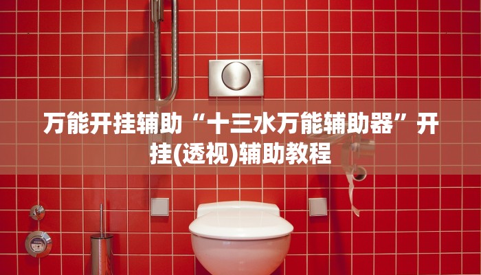 万能开挂辅助“十三水万能辅助器”开挂(透视)辅助教程