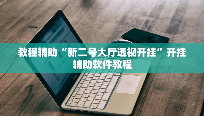 教程辅助“新二号大厅透视开挂”开挂辅助软件教程