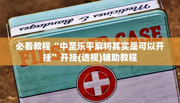 必看教程“中至乐平麻将其实是可以开挂”开挂(透视)辅助教程