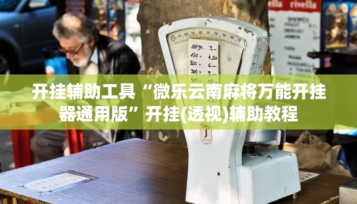 开挂辅助工具“微乐云南麻将万能开挂器通用版”开挂(透视)辅助教程