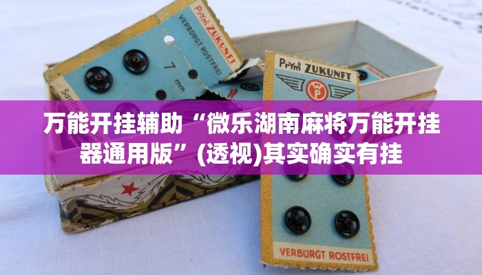 万能开挂辅助“微乐湖南麻将万能开挂器通用版”(透视)其实确实有挂