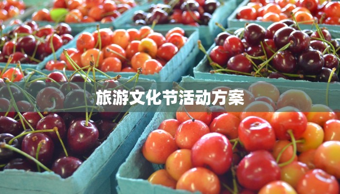 旅游文化节活动方案