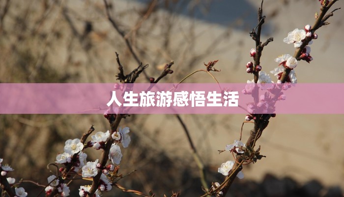 人生旅游感悟生活