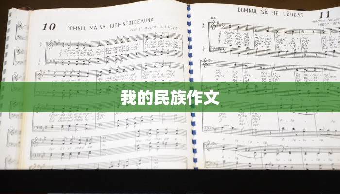 麦芽广场舞优酷自频道：舞动活力，绽放广场魅力