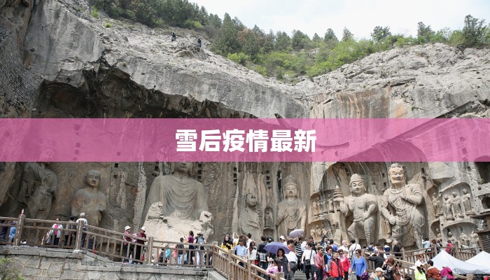 雪后疫情最新