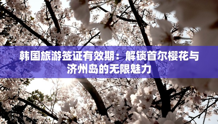 韩国旅游签证有效期：解锁首尔樱花与济州岛的无限魅力