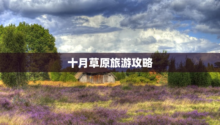 我喜欢汉字作文