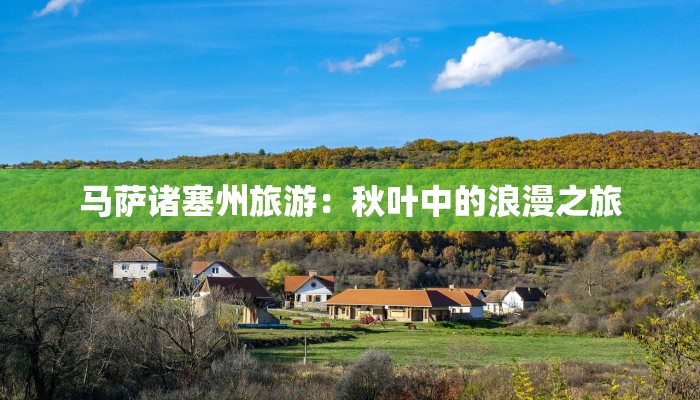 关于端午节的作文