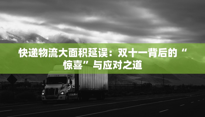 快递物流大面积延误：双十一背后的“惊喜”与应对之道