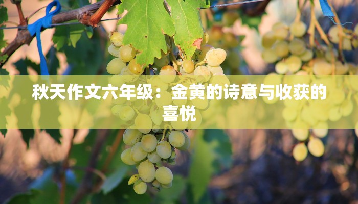 秋天作文六年级：金黄的诗意与收获的喜悦