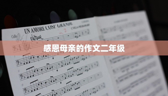 感恩母亲的作文二年级