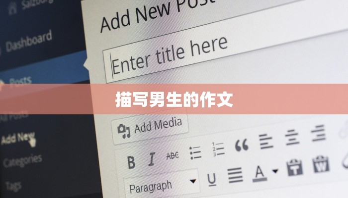 描写男生的作文