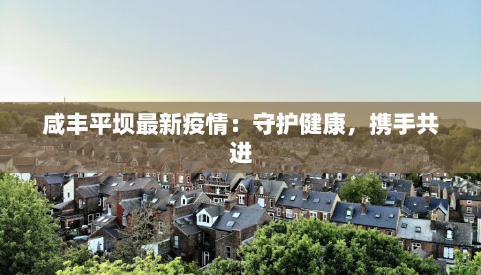 咸丰平坝最新疫情：守护健康，携手共进
