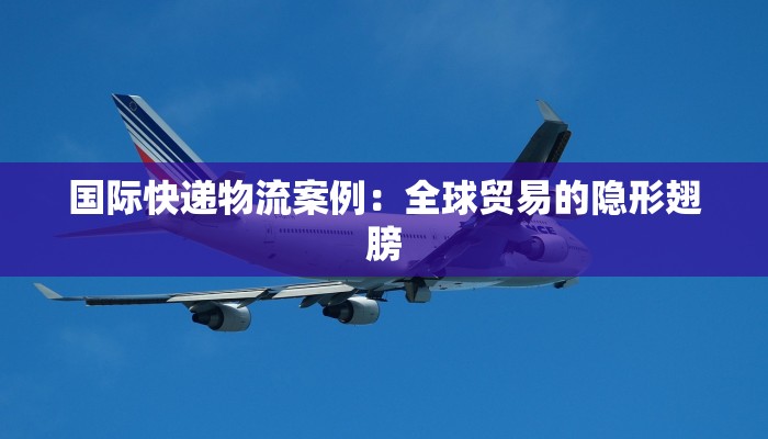 国际快递物流案例：全球贸易的隐形翅膀