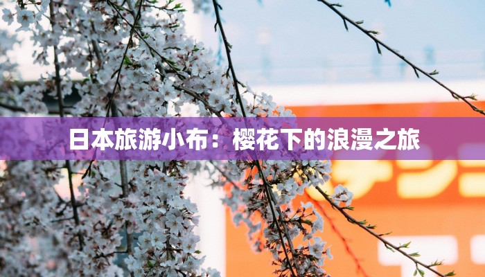 日本旅游小布：樱花下的浪漫之旅