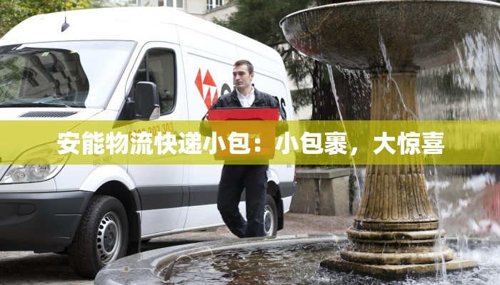 安能物流快递小包：小包裹，大惊喜
