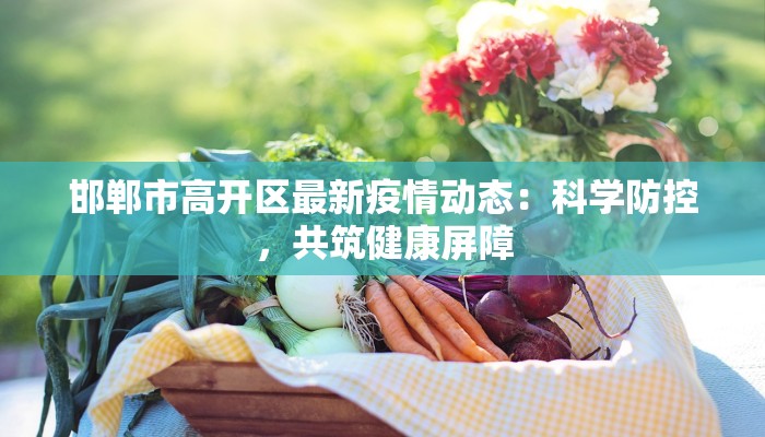 邯郸市高开区最新疫情动态：科学防控，共筑健康屏障