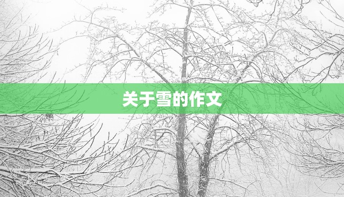 关于雪的作文