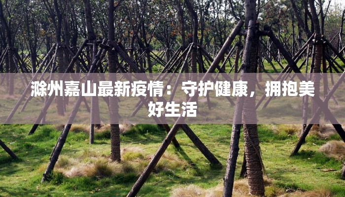 滁州嘉山最新疫情：守护健康，拥抱美好生活