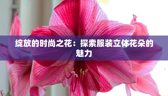 绽放的时尚之花：探索服装立体花朵的魅力