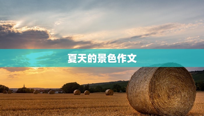 夏天的景色作文