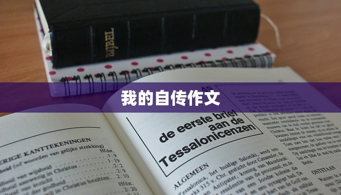 我的自传作文