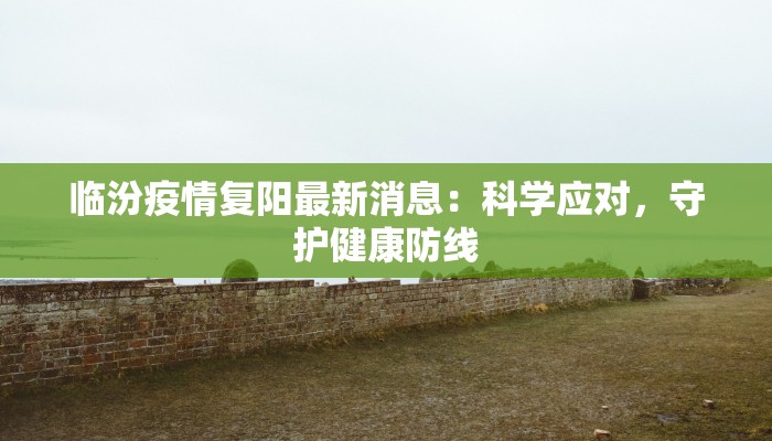 临汾疫情复阳最新消息：科学应对，守护健康防线