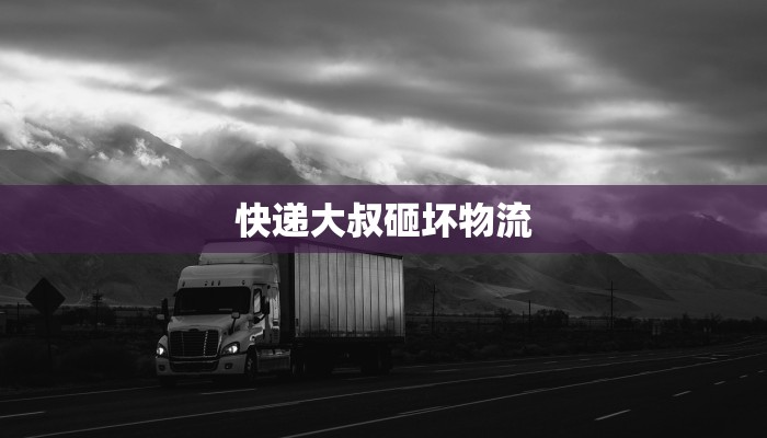 快递大叔砸坏物流