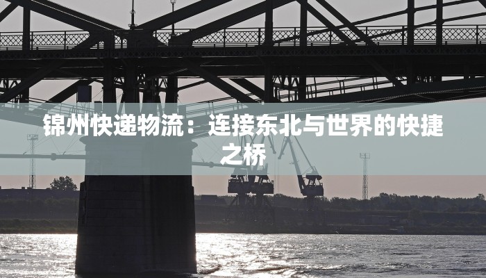 京东快递物流客服实习：开启你的职场新篇章