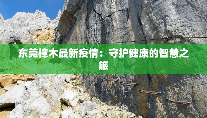 东莞樟木最新疫情：守护健康的智慧之旅