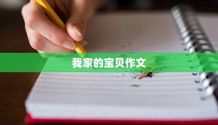 我家的宝贝作文