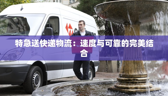 我们的节日作文