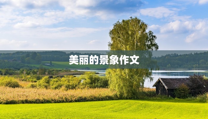 美丽的景象作文