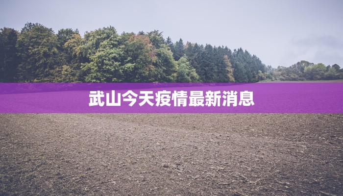 武山今天疫情最新消息