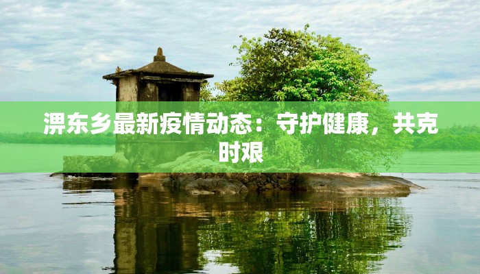 淠东乡最新疫情动态：守护健康，共克时艰