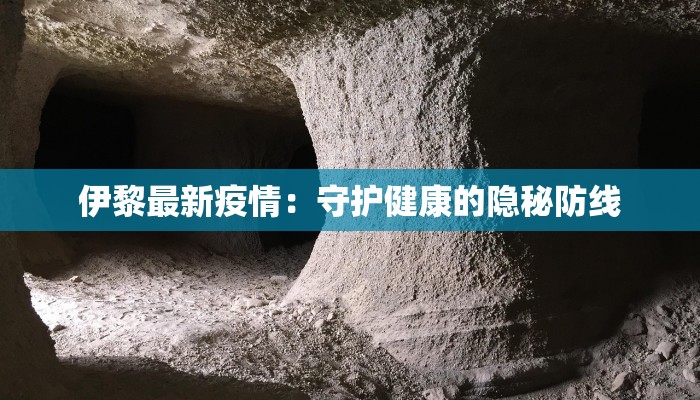 伊黎最新疫情：守护健康的隐秘防线