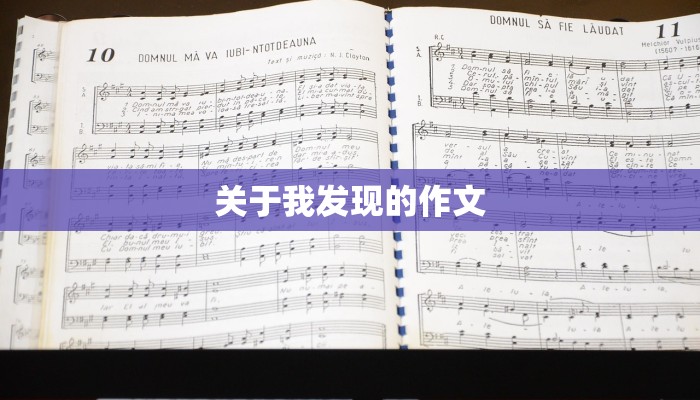 关于我发现的作文