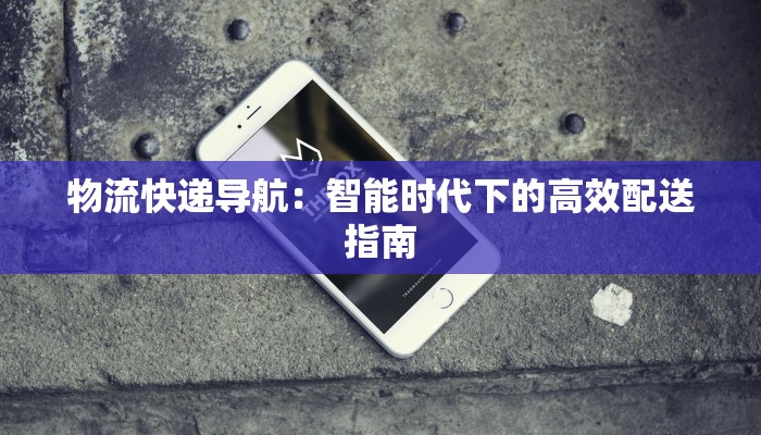 物流快递导航：智能时代下的高效配送指南