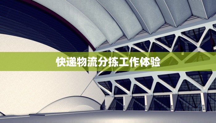快递物流分拣工作体验