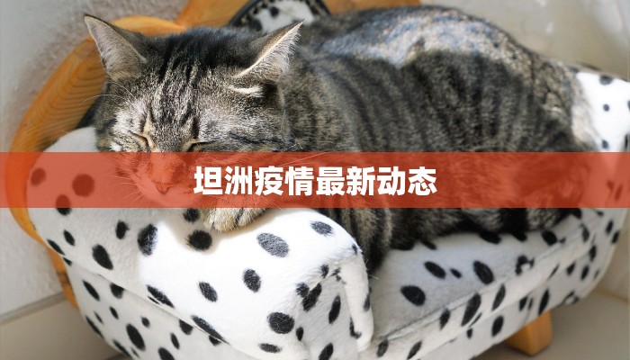 坦洲疫情最新动态